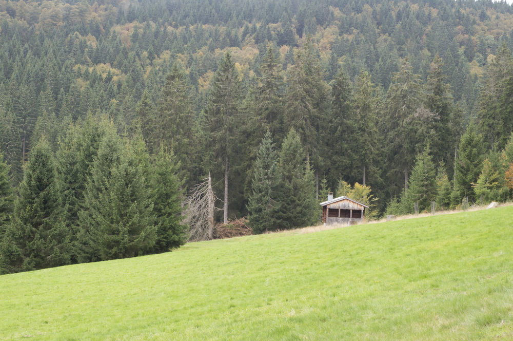 Hotel Grossbach Menzenschwand-Hinterdorf Exterior foto